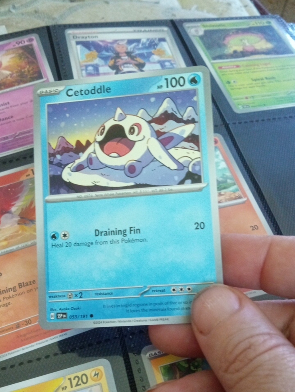 Pokemon Cetoddle Trading Card - Light Blue
